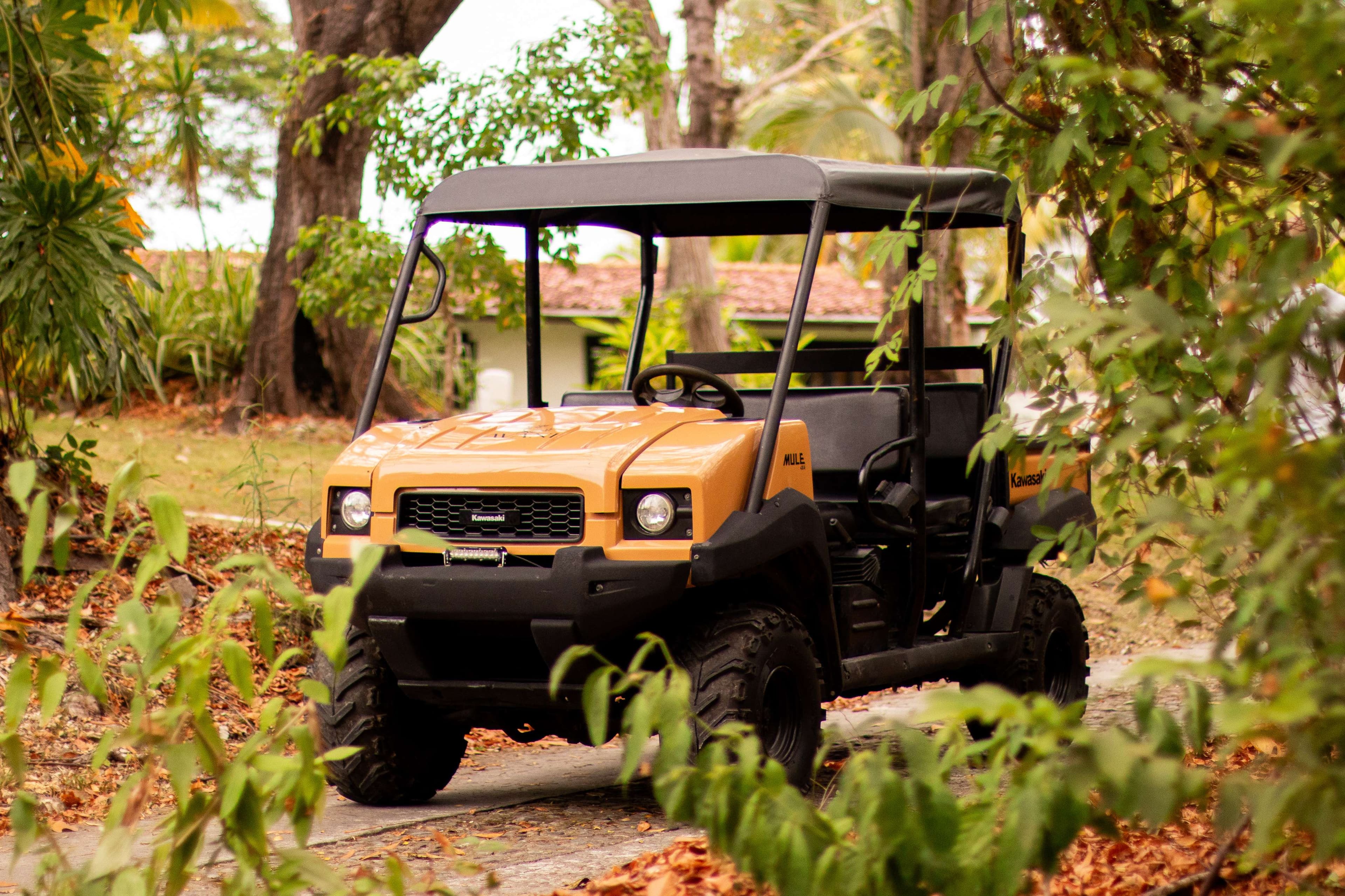 Beach transportation service